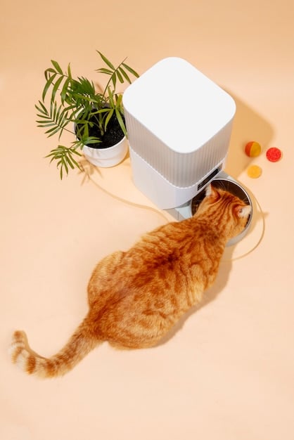 A sleek, modern robotic cat toy that rolls around on its own, featuring interchangeable attachments like feathers and ribbons. A cat is shown batting at it playfully.