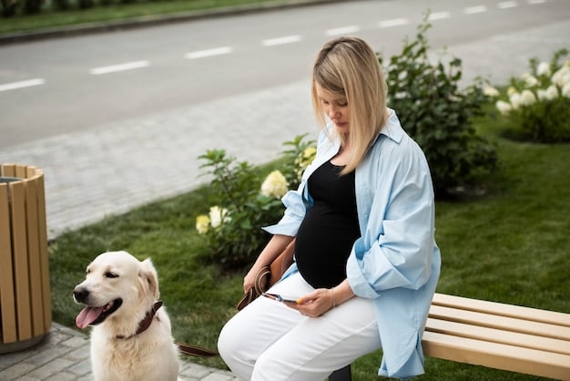 Dog Training Collar Reviews: Find the Perfect Fit in 2025