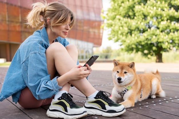 A dog owner using a smartphone app to control their dog's training collar during a training session in a park. The phone screen shows the collar's settings and dog's activity levels.