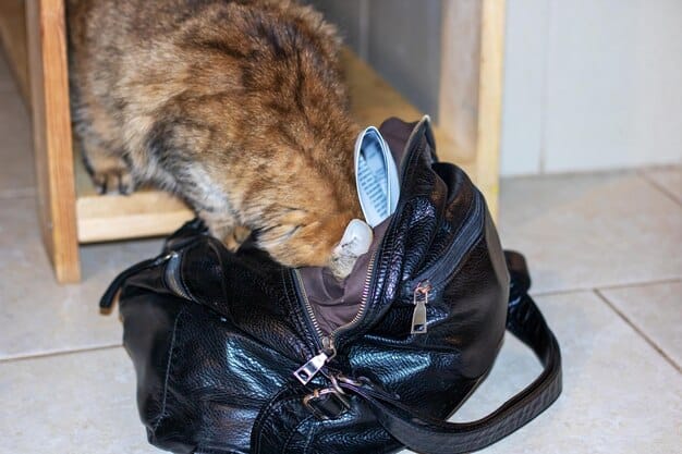 An eye-level shot of a small dog inside a soft-sided carrier bag. The carrier is bright blue with mesh windows around the sides and top, excellent ventilation. The dog looks curious as it peeks through the mesh.