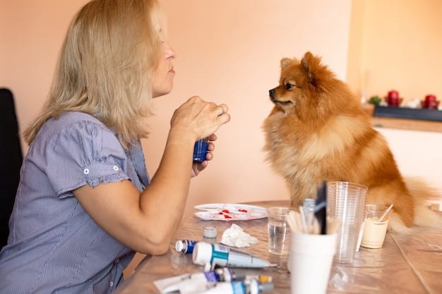 An image featuring a veterinarian examining a dog while the owner stands beside them, holding a bottle of supplements, with the focus on the collaborative aspect of pet care.