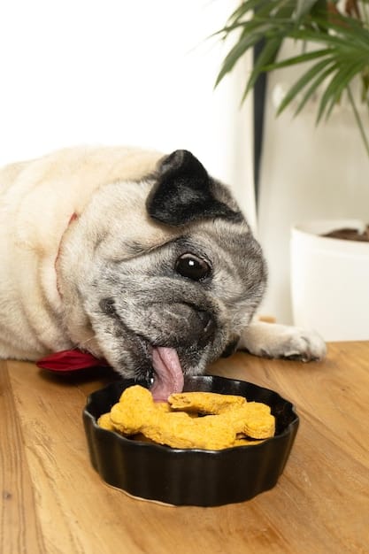 Is Raw Food Right for Your Pet? 2025 Review & Brand Guide