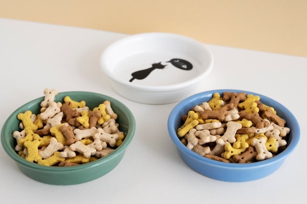 A close-up shot comparing two bowls of pet food side by side. One bowl contains dry kibble, appearing processed and uniform. The other bowl holds visually appealing raw food – chunks of meat, colorful vegetables, and a small bone. The lighting is bright and emphasizes the natural, vibrant look of the raw food.