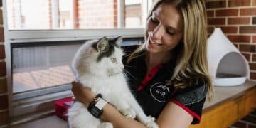 Pet Insurance Reviews 2025: Top Plans, Costs & Coverage - Cover Image