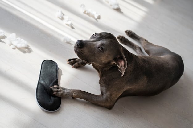 A Labrador retriever intently focused on solving a slider puzzle toy, with paw resting on the edge and nose nudging a slider piece. Treats are partially visible, peaking out from under the sliders.