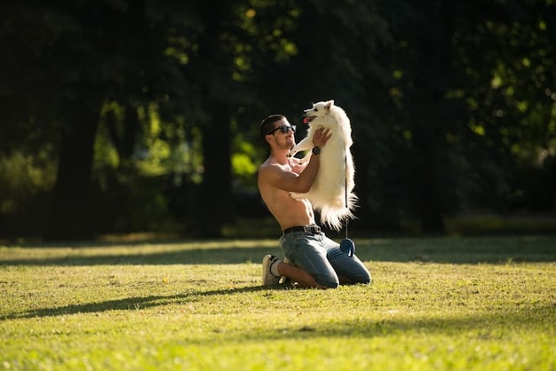 Grooming Tool Reviews: Find the Best Pet Brush in 2025