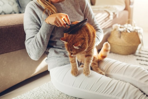 A person gently brushing a long-haired Persian cat with a self-cleaning slicker brush. The cat appears relaxed and content.