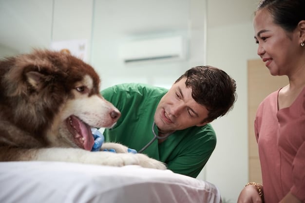 A veterinarian gently examining a dog during a routine check-up, with focus on their facial expression showing care and concern.