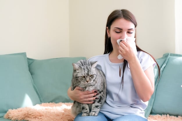 A person giving a cat allergy drops under its tongue. The cat is held gently but securely, and the person is using a syringe to administer the drops. The cat appears relatively calm during the process.