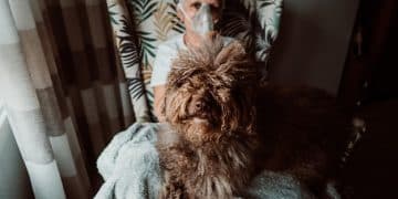 Don't Ignore These Symptoms: Early Warning Signs of Heart Disease in Senior Pets - Cover Image