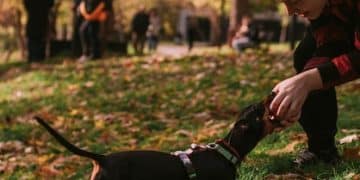 Decoding Your Dog's Poop: A Guide to Pet Health - Cover Image
