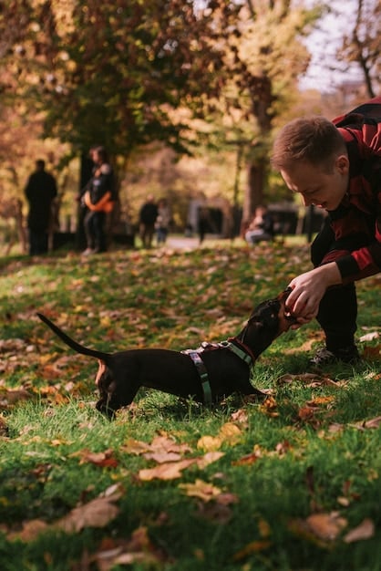 Decoding Your Dog’s Poop: A Guide to Pet Health