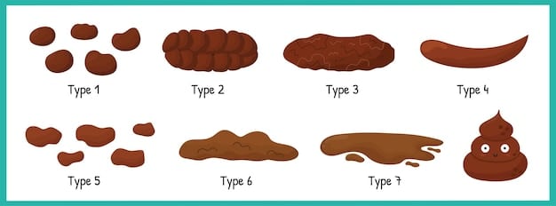 A visual chart illustrating the ideal dog poop, highlighting the perfect color (chocolate brown), consistency (firm but not hard), shape (log-like), and content (free of parasites and excessive mucus).