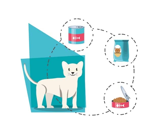 A graphic depicting a range of dog poop consistencies, from hard pellets indicating dehydration to watery stool signaling diarrhea or infection, each with a brief explanation of the potential causes.