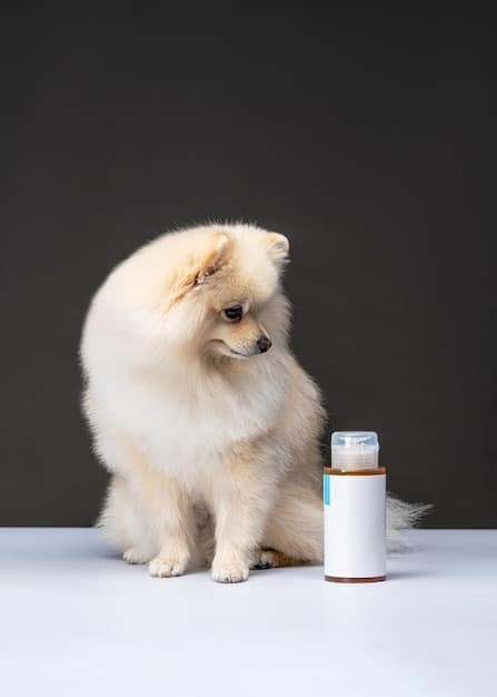 Gut Health and Anxiety in Dogs: New Research & Probiotic Guide