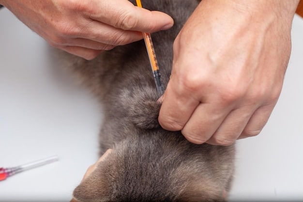 A person using fine-tipped tweezers to carefully remove a tick from a dog's skin. The focus is on the technique and precision of the removal.