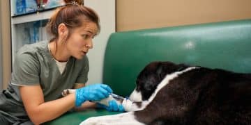 Pet Vaccinations: A Comprehensive Guide for US Pet Owners - Cover Image