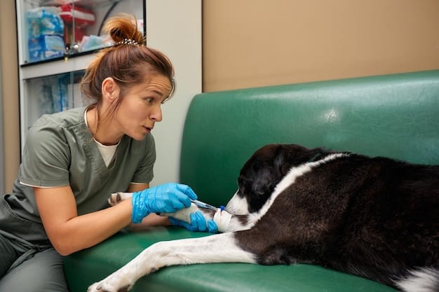 Pet Vaccinations: A Comprehensive Guide for US Pet Owners