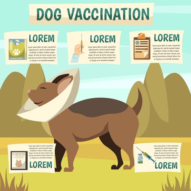 A chart illustrating the different types of core and non-core vaccines for dogs, specifying the diseases they protect against.