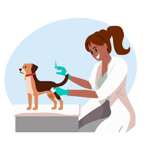 A veterinarian is demonstrating how to use a syringe to give water to a small, white dog. The dog is calm and the vet is gentle and reassuring.