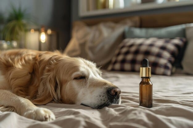 CBD for Pets: Latest Research on Effectiveness and Safety