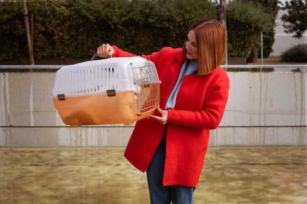 Pet Disaster Plan: Hurricane & Emergency Preparedness Guide
