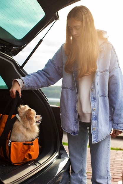 A family loading a pet carrier with a dog inside into their car during a simulated evacuation drill. The image focuses on the importance of practicing evacuation plans with pets.