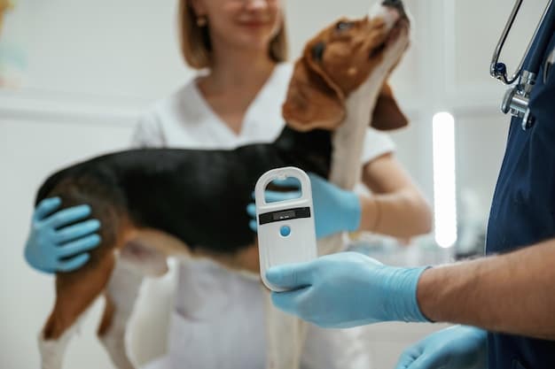 A veterinarian scanning a dog's microchip with a handheld scanner. The image highlights the ease and effectiveness of microchip identification in reuniting lost pets with their owners.