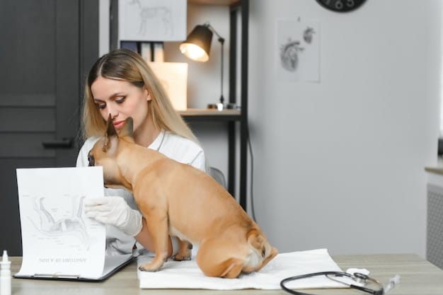 The Importance of Regular Deworming for Your Pet and Family