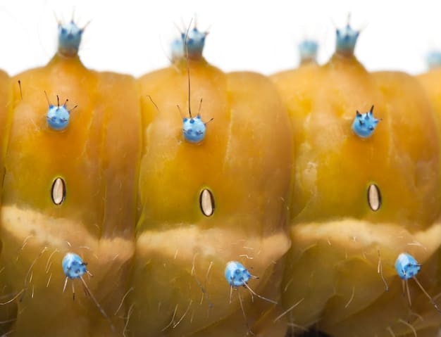 A close-up shot of different types of parasitic worms commonly found in pets, highlighting their distinct appearances and potential harm.
