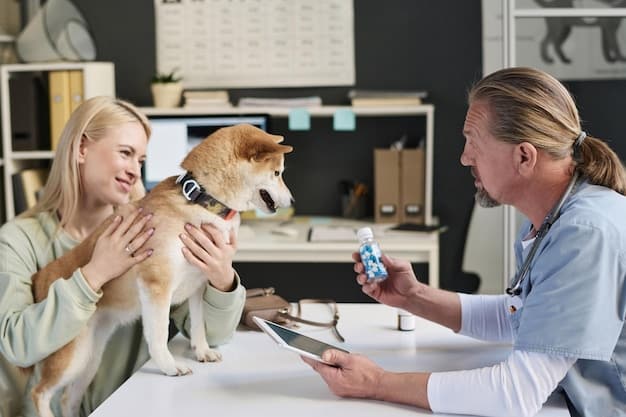 New Guidelines: Managing Diabetes in Pets – Insulin Therapy and Diet Changes