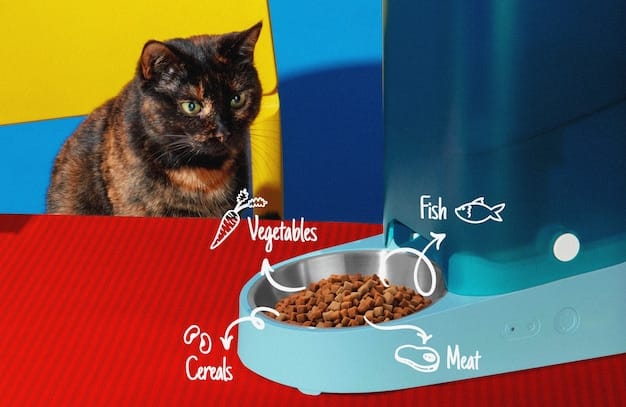 A split-screen image showing a cat eating dry kibble on one side and a cat eating wet food from a can on the other side, highlighting the difference in hydration levels.