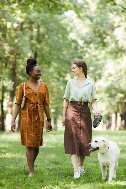 A diverse group of dogs and their owners walking together in a park on a sunny day. The dogs are leashed and well-behaved, and the owners are chatting and smiling. The park is lush and green with trees and open spaces.