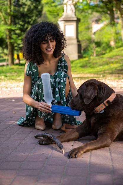 A dog owner using a water bottle to pour water into their dog's mouth, while the dog is panting slightly. The scene is outdoors in a park, with trees in the background, emphasizing hydration.