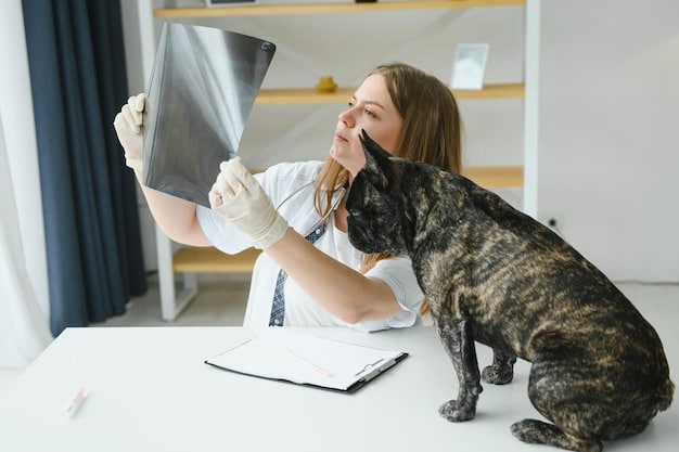 A veterinarian examining a dog's abdomen, palpating gently to check for distention. The vet is wearing gloves, and the dog is lying on an examination table, looking slightly anxious.