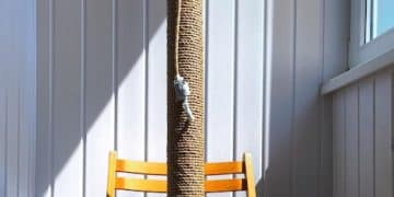 Train Your Cat to Use a Scratching Post: Save Your Furniture! - Cover Image