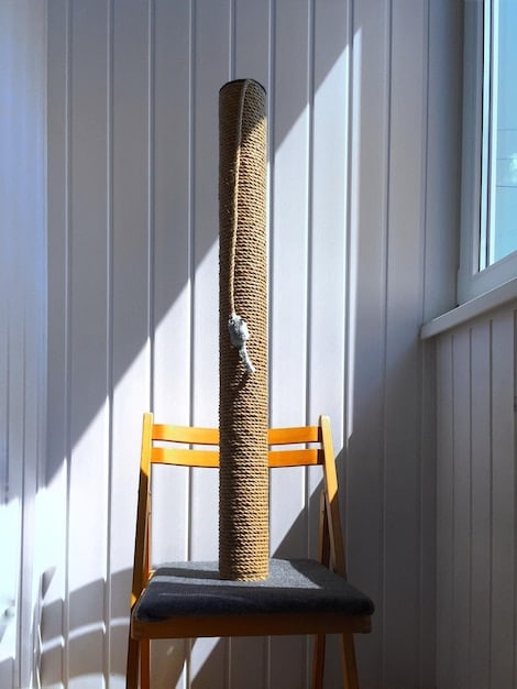 Train Your Cat to Use a Scratching Post: Save Your Furniture!