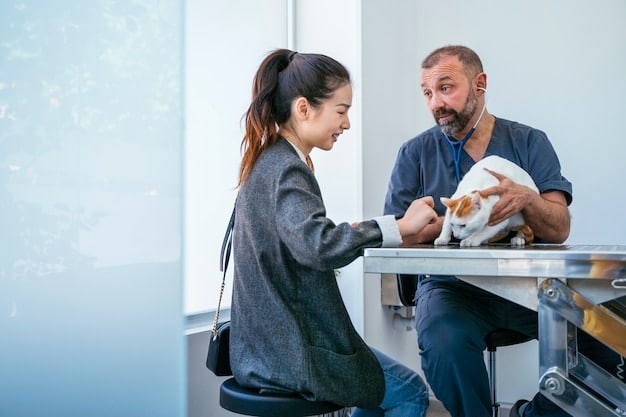 A veterinarian gently examining a senior cat during a check-up, with the owner looking on attentively. The setting is a clean, well-lit veterinary clinic.