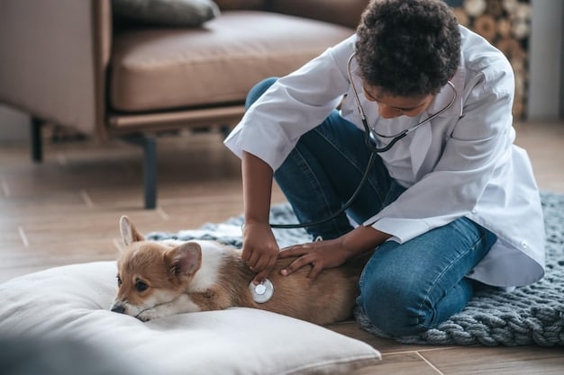 A veterinarian gently examines a small dog during a pre-travel checkup. The vet is holding a stethoscope, and the dog appears calm and relaxed on the examination table.