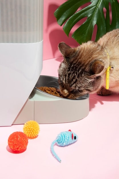 A close-up of a cat carefully using its paw to manipulate a sliding puzzle toy filled with treats. The cat is focused and determined, and the background is a brightly lit kitchen.