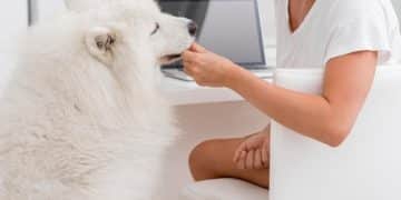 Is Your Pet Overweight? A Step-by-Step Guide for US Pet Owners - Cover Image