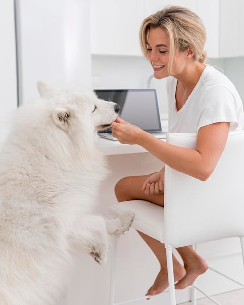 Is Your Pet Overweight? A Step-by-Step Guide for US Pet Owners