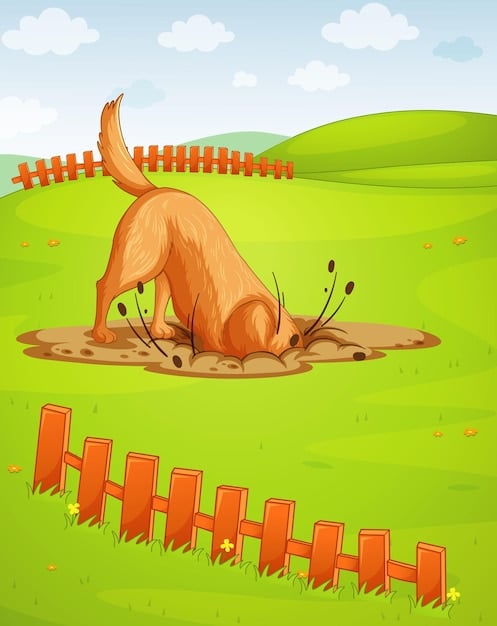 A dog happily digging in a designated digging area filled with sand and a few buried toys. The area is separated from the main garden by a low fence.