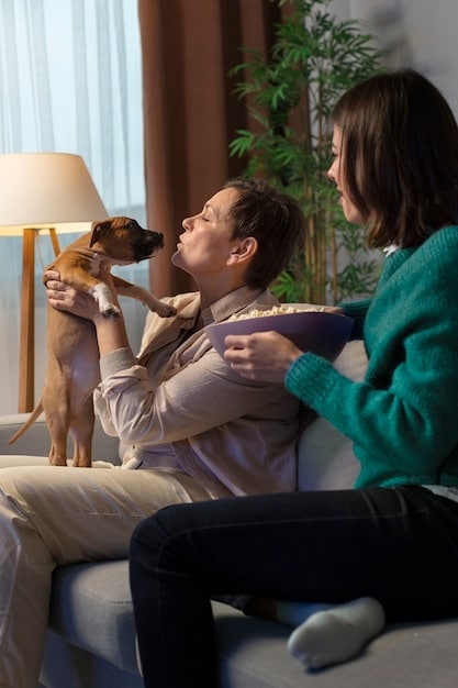 A person gently petting a dog on the head, while both are sitting calmly in a quiet living room, demonstrating positive reinforcement and a relaxed environment.