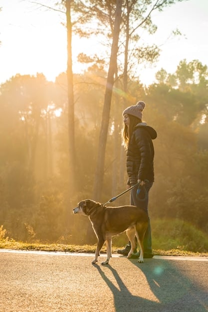 Leash Reactivity Breakthrough: Reduce Lunging by 50% in 2 Weeks