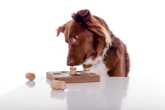 A dog happily engaging with a puzzle toy, completely absorbed and focused on retrieving treats from the toy. The background is a cozy living room scene, and the dog's body language indicates contentment.
