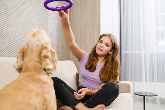 A dog training session in a living room, with the owner praising the dog for chewing on a designated chew toy. The focus is on the interaction and positive reinforcement.