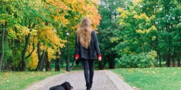 Stop Stranger Danger: Behavior Modification for Aggressive Dogs in 2025 - Cover Image
