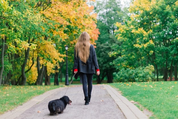 Stop Stranger Danger: Behavior Modification for Aggressive Dogs in 2025