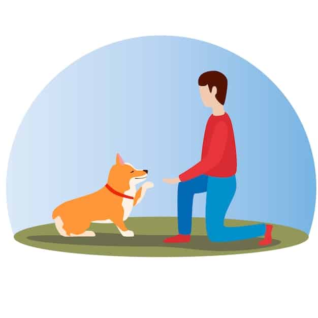 A dog calmly sitting and taking a treat while a person stands at a distance, facing away from the dog.